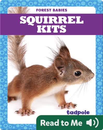 Squirrel Kits