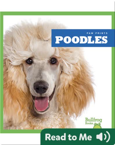 Poodles