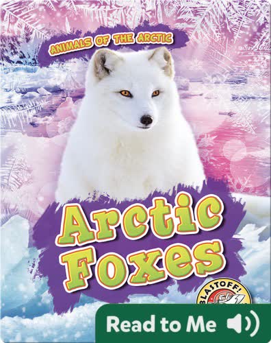 Arctic Foxes