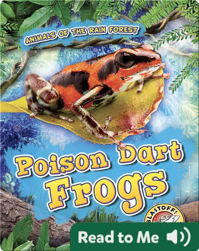 Poison Dart Frogs