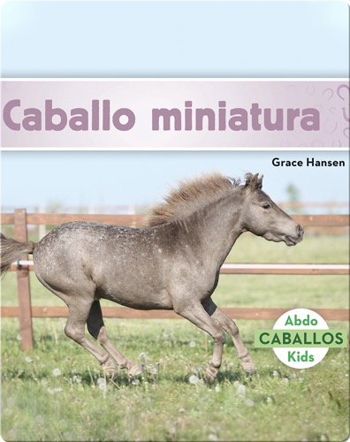 Caballo miniatura