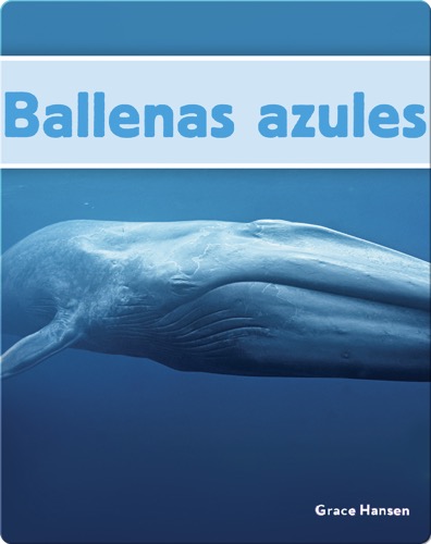 Ballenas azules