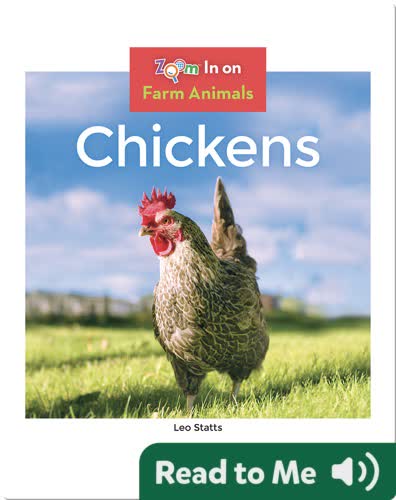 Chickens