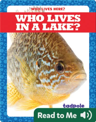 Who Lives in a Lake?