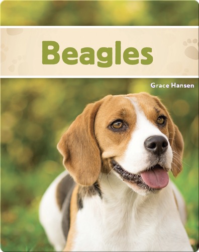Beagles