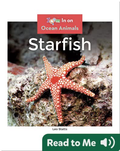 Starfish