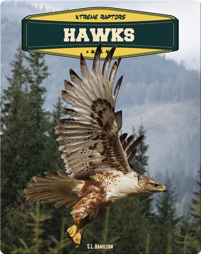 Hawks