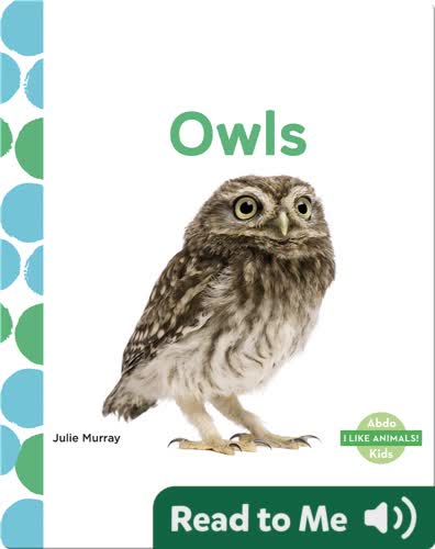Owls