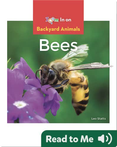 Bees