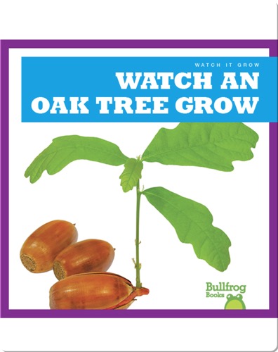Watch an Oak Tree Grow