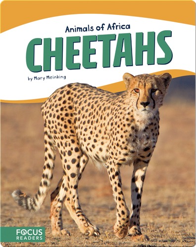 Animals of Africa: Cheetahs