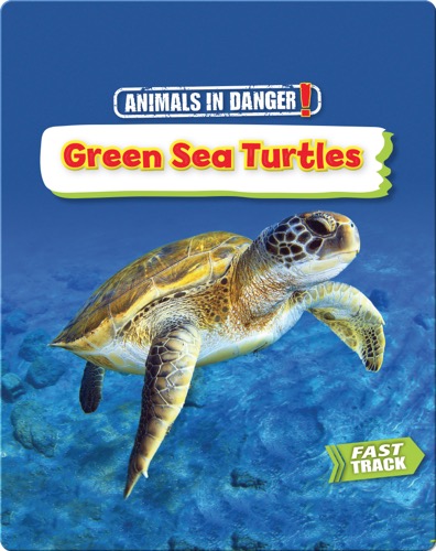 Animals in Danger: Green Sea Turtles