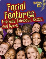 Facial Features: Freckles, Earlobes, Noses, and More