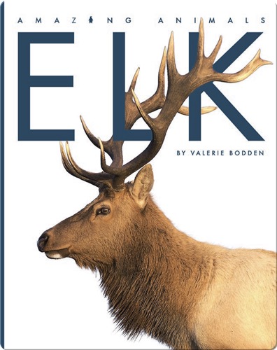 Amazing Animals: Elk