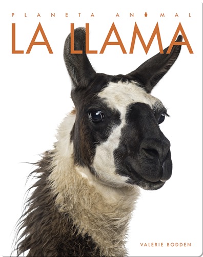 Planeta Animal: La Llama