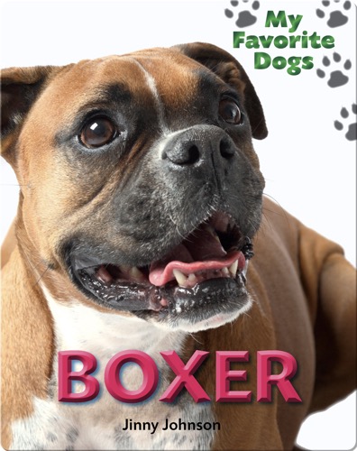 Boxer