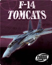 F-14 Tomcats