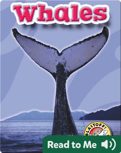 Whales: Oceans Alive
