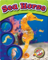 The Life Cycle of a Sea Horse