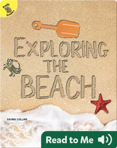 Exploring the Beach