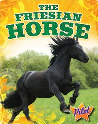 The Friesian Horse