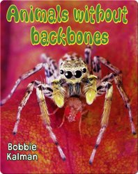 Animals Without Backbones