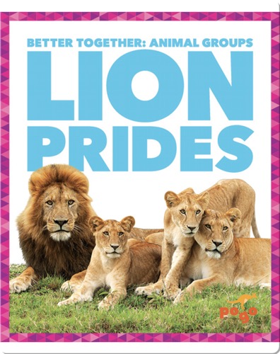 Lion Prides