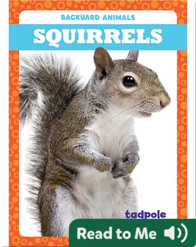 Backyard Animals: Squirrels