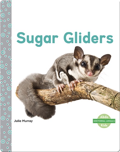 Sugar Gliders
