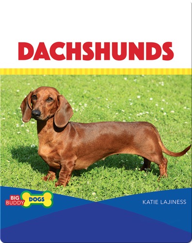 Dachshunds