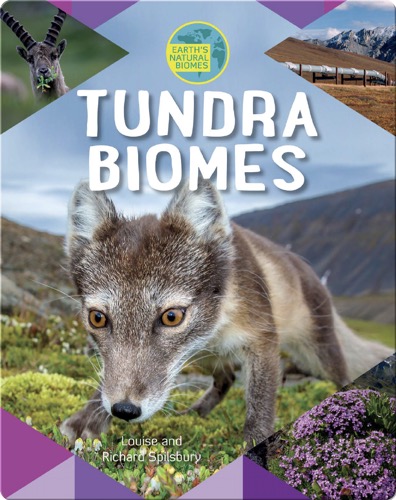 Tundra Biomes