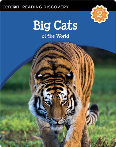 Big Cats of the World
