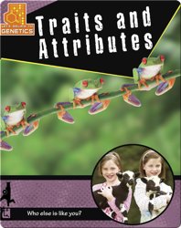 Traits and Attributes