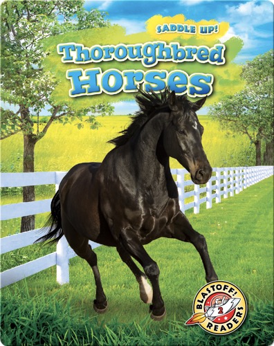Saddle Up!: Thoroughbred Horses
