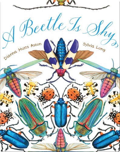 A Beetle Is Shy