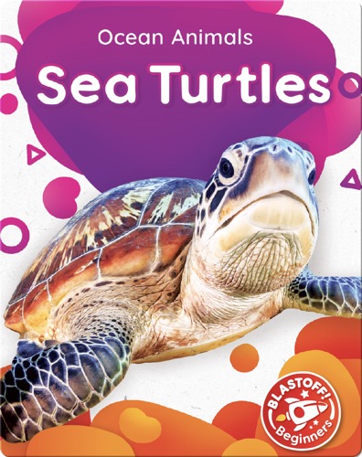 Ocean Animals: Sea Turtles