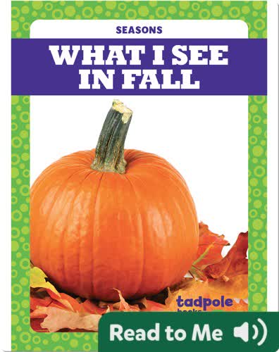 Seasons: What I See in Fall