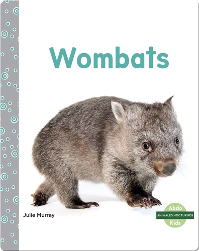 Animales nocturnos: Wombats