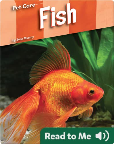 Pet Care: Fish