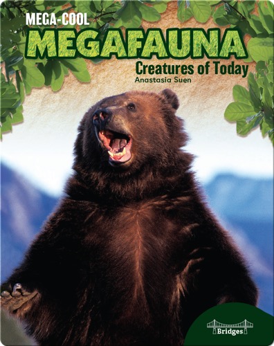 Mega-Cool Megafauna: Creatures of Today