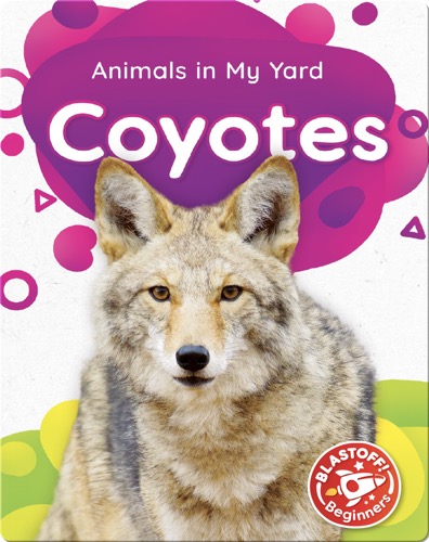 Animals in My Yard: Coyotes