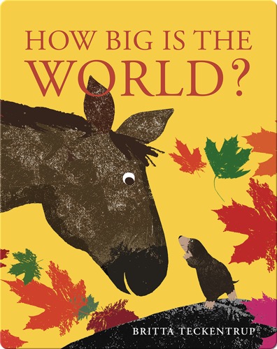 How Big is the World?