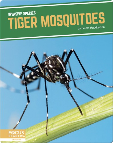 Invasive Species: Tiger Mosquitoes