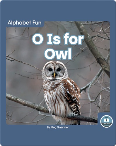 Alphabet Fun: O is for Owl
