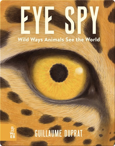 Eye Spy