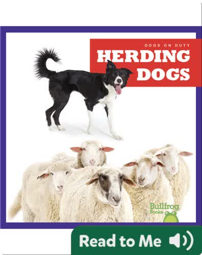 Dogs on Duty: Herding Dogs