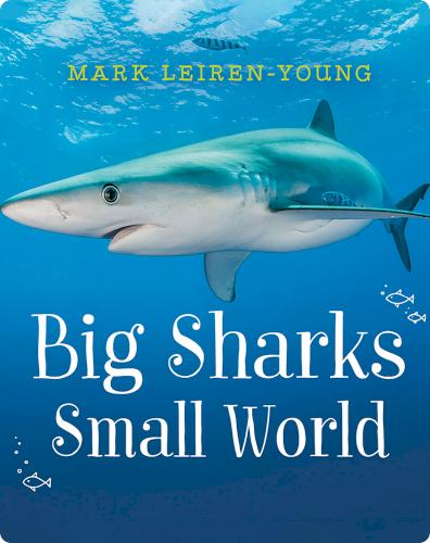 Big Sharks, Small World