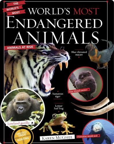 The World's Most: World's Most Endangered Animals