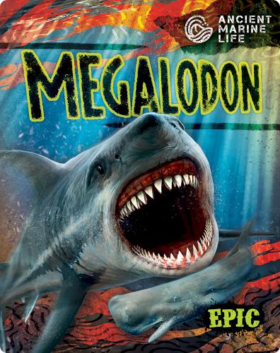 Ancient Marine Life: Megalodon