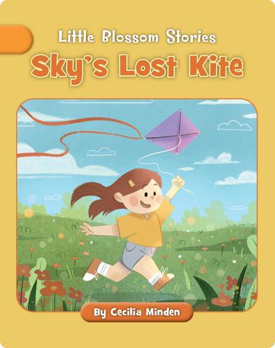 Sky's Lost Kite